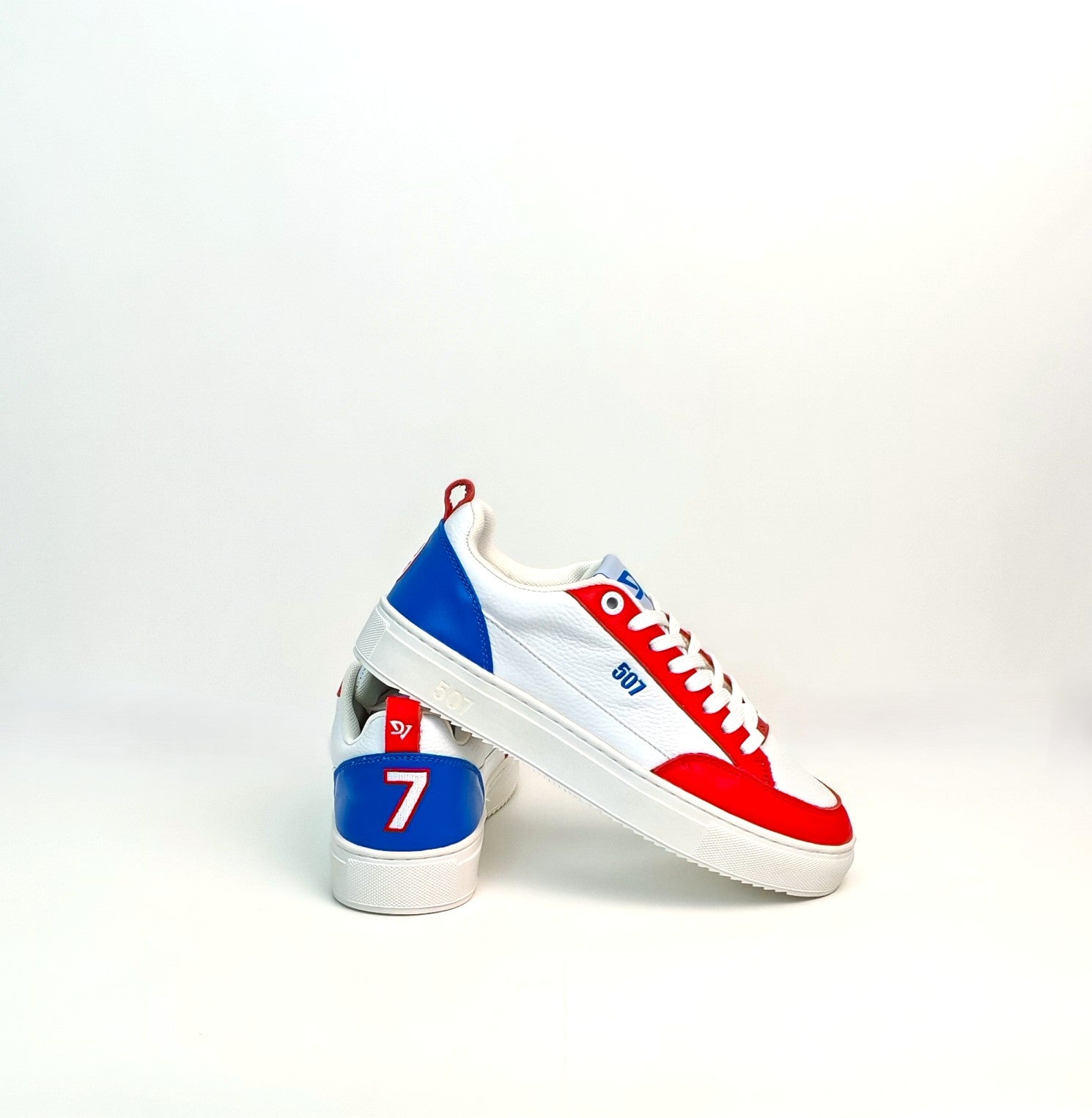 Zapatillas Tricolor H